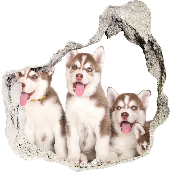 Vinilo decorativo boquete pared irregular Cachorros de husky detrás de un agujero en la pared