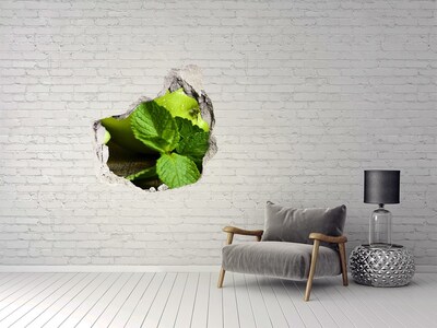 Vinilo adhesivo efecto agujero 3d para casa Manzana verde con menta