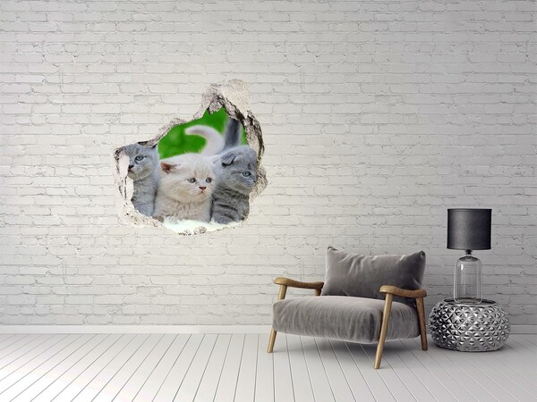 Vinilo adhesivo efecto agujero 3d para casa Gatitos en un agujero en la pared