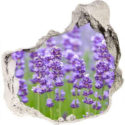 Pegatina efecto 3d pared rota decorativa Campo de lavanda bajo el sol