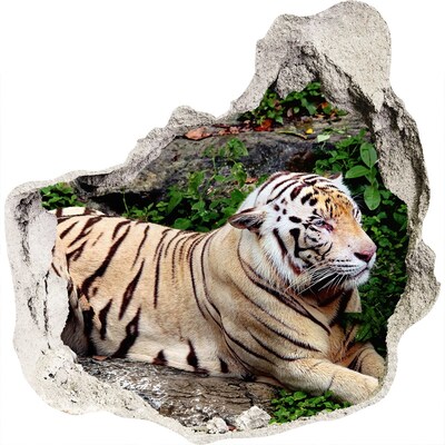 Vinilo adhesivo efecto agujero 3d para casa Tigre en su hábitat natural