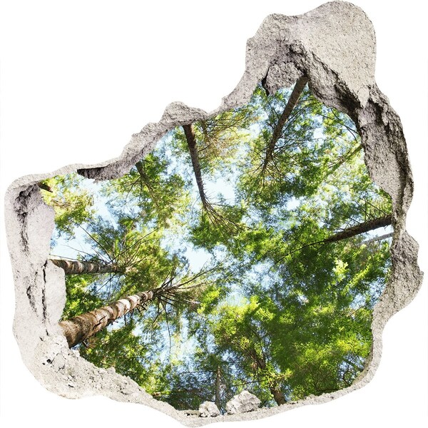 Pegatina efecto 3d pared rota decorativa Vista del bosque con cielo azul.