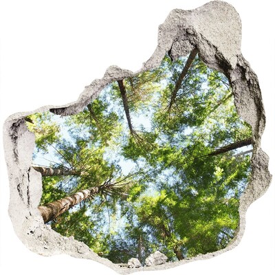 Pegatina efecto 3d pared rota decorativa Vista del bosque con cielo azul.