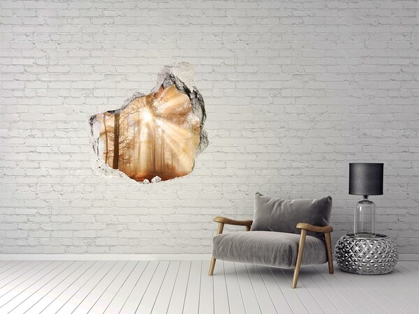 Vinilo adhesivo efecto agujero 3d para casa Paso Forestal del Sol