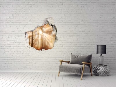 Vinilo adhesivo efecto agujero 3d para casa Paso Forestal del Sol