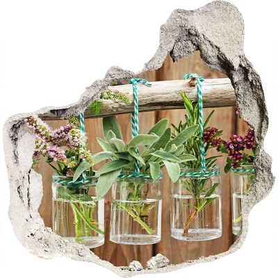 Vinilo decorativo boquete pared irregular Jardín de hierbas en frascos