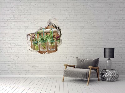 Vinilo decorativo boquete pared irregular Jardín de hierbas en frascos