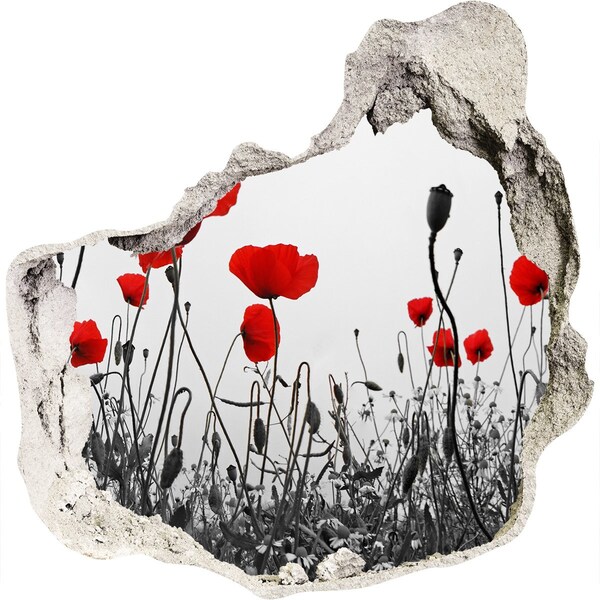 Vinilo adhesivo efecto agujero 3d para casa Flores en las ruinas