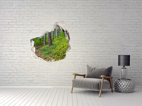 Pegatina efecto 3d pared rota decorativa Sendero forestal Agujero en la pared