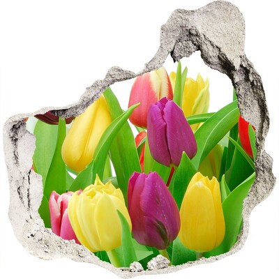Vinilo adhesivo efecto agujero 3d para casa Un paraíso de flores con tulipanes.