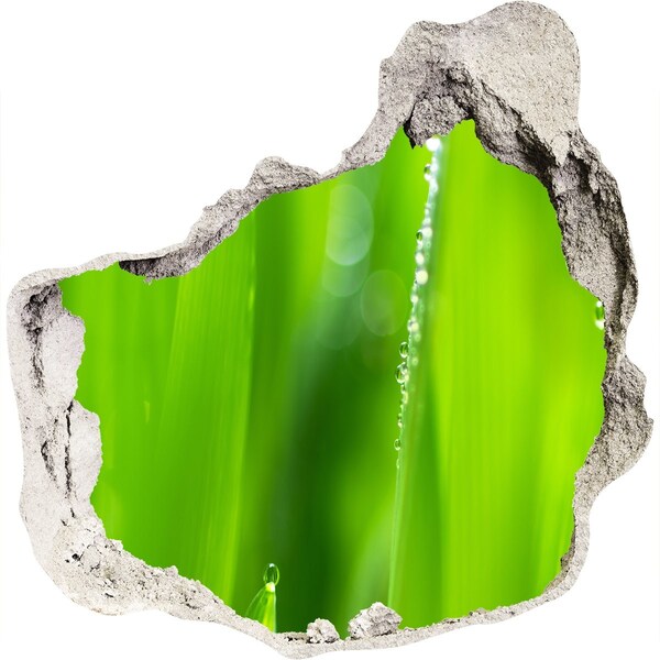 Vinilo adhesivo efecto agujero 3d para casa Prado verde con gotas de agua