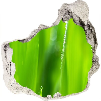 Vinilo adhesivo efecto agujero 3d para casa Prado verde con gotas de agua