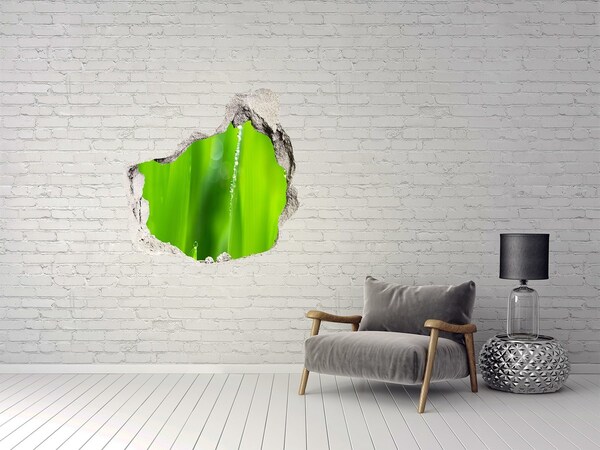 Vinilo adhesivo efecto agujero 3d para casa Prado verde con gotas de agua