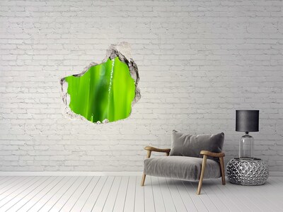 Vinilo adhesivo efecto agujero 3d para casa Prado verde con gotas de agua