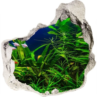 Vinilo decorativo boquete pared irregular El mundo submarino en el acuario