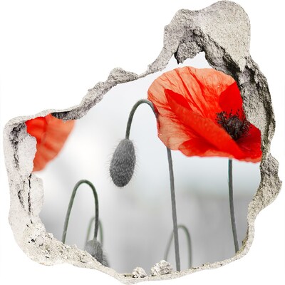 Pegatina efecto 3d pared rota decorativa Flores en un agujero en la pared