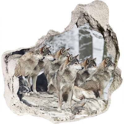 Vinilo adhesivo efecto agujero 3d para casa Lobos en su hábitat natural