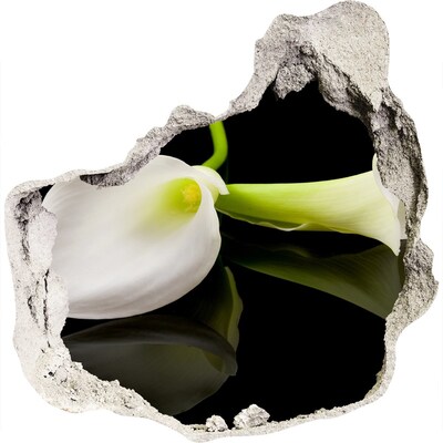 Vinilo adhesivo efecto agujero 3d para casa Flor en hormigón