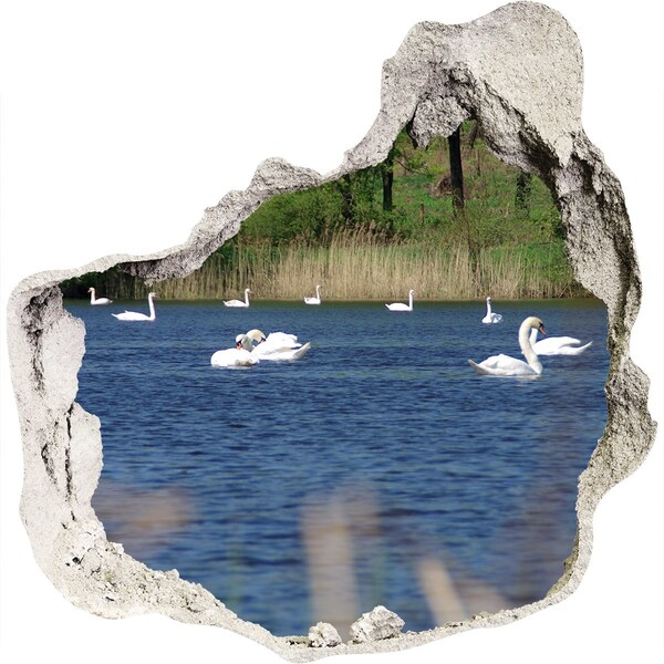 Pegatina efecto 3d pared rota decorativa Lago con cisnes