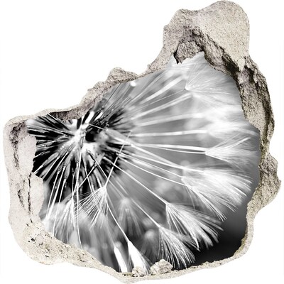 Vinilo decorativo boquete pared irregular Dientes de león en blanco y negro