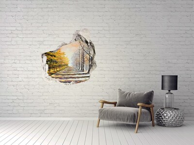 Dziura 3d fototapeta ścienna Jesienna aleja drzew