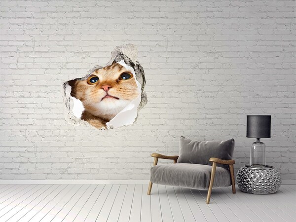 Vinilo decorativo boquete pared irregular Gato a través de un agujero en la pared