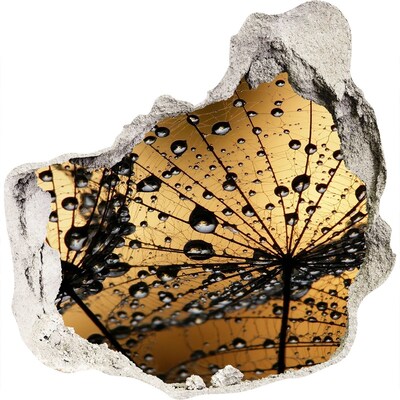 Vinilo adhesivo efecto agujero 3d para casa Gotas sobre las hojas