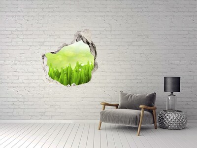 Vinilo decorativo boquete pared irregular Prado verde con gotas de agua