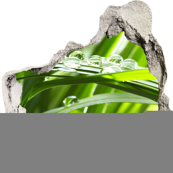Pegatina pared rota trampantojo decorativo Prado verde con gotas de agua
