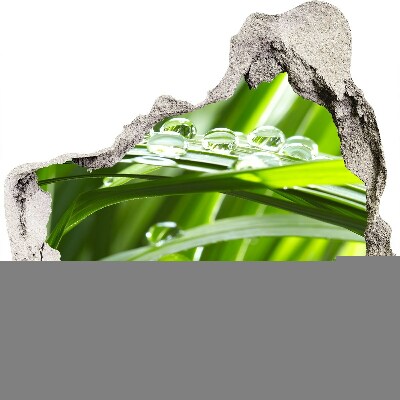 Pegatina pared rota trampantojo decorativo Prado verde con gotas de agua