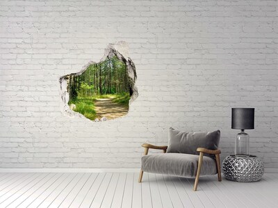 Vinilo adhesivo efecto agujero 3d para casa Sendero forestal Agujero en la pared