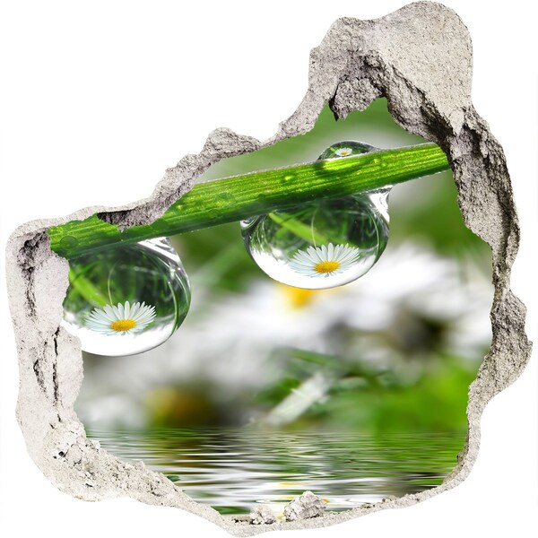 Vinilo adhesivo efecto agujero 3d para casa Oasis floral con gotas de agua