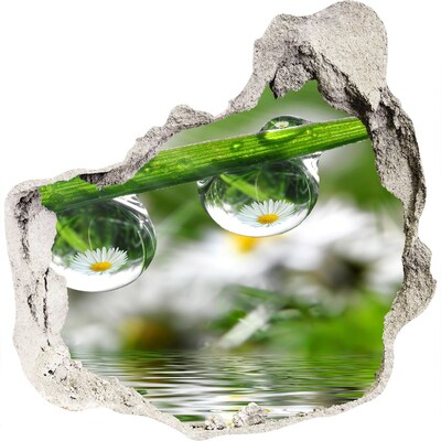 Vinilo adhesivo efecto agujero 3d para casa Oasis floral con gotas de agua