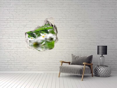 Vinilo adhesivo efecto agujero 3d para casa Oasis floral con gotas de agua