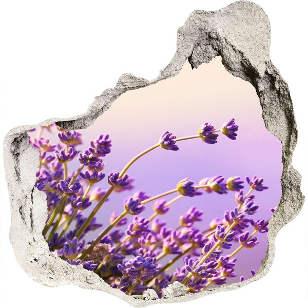 Vinilo decorativo boquete pared irregular Flores de lavanda a la luz de la mañana.