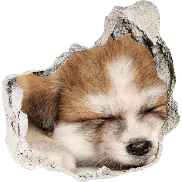 Dziura 3d fototapeta naklejka Słodki szczeniak w dziurze w ścianie