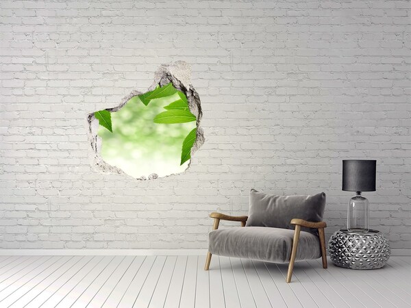 Vinilo adhesivo efecto agujero 3d para casa Un oasis verde en hormigón