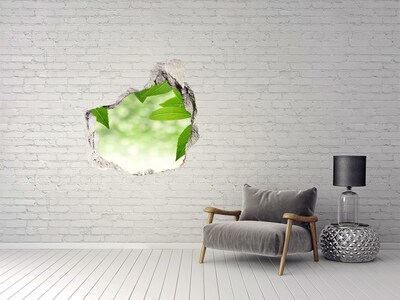 Vinilo adhesivo efecto agujero 3d para casa Un oasis verde en hormigón