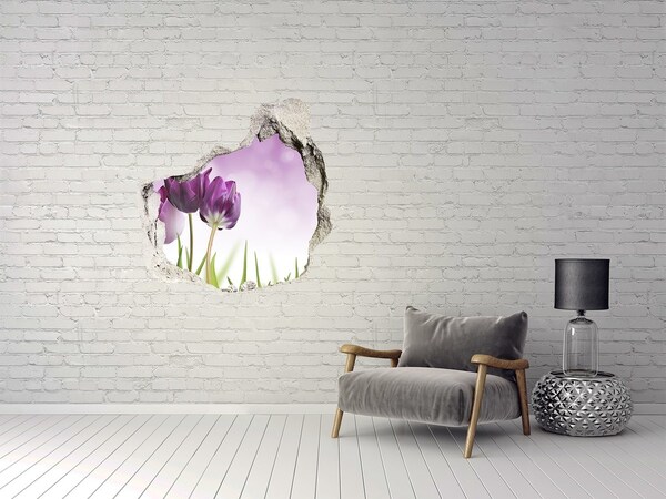 Pegatina efecto 3d pared rota decorativa Flores en un agujero en la pared