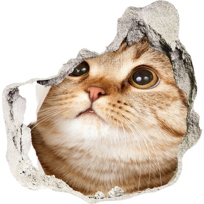 Dziura 3d fototapeta na ścianę naklejka Kot w dziurze w ścianie