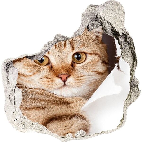 Vinilo adhesivo efecto agujero 3d para casa Gato en un agujero en la pared