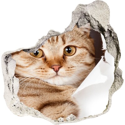 Vinilo adhesivo efecto agujero 3d para casa Gato en un agujero en la pared