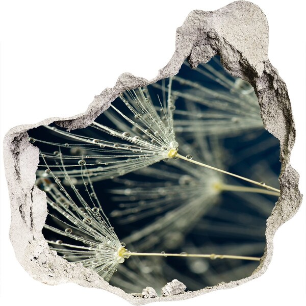 Pegatina pared rota trampantojo decorativo Flores de diente de león en el agua