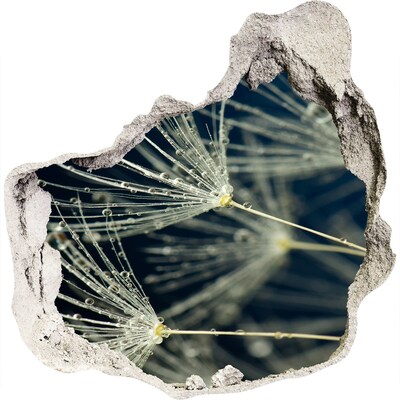 Pegatina pared rota trampantojo decorativo Flores de diente de león en el agua