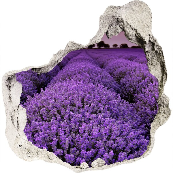 Vinilo decorativo boquete pared irregular Un campo de lavanda en plena floración.