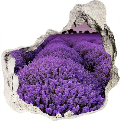 Vinilo decorativo boquete pared irregular Un campo de lavanda en plena floración.