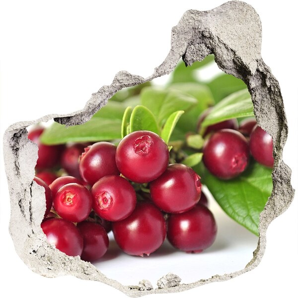 Vinilo adhesivo efecto agujero 3d para casa Agujero afrutado en la pared