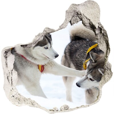 Vinilo adhesivo efecto agujero 3d para casa Huskies siberianos en acción
