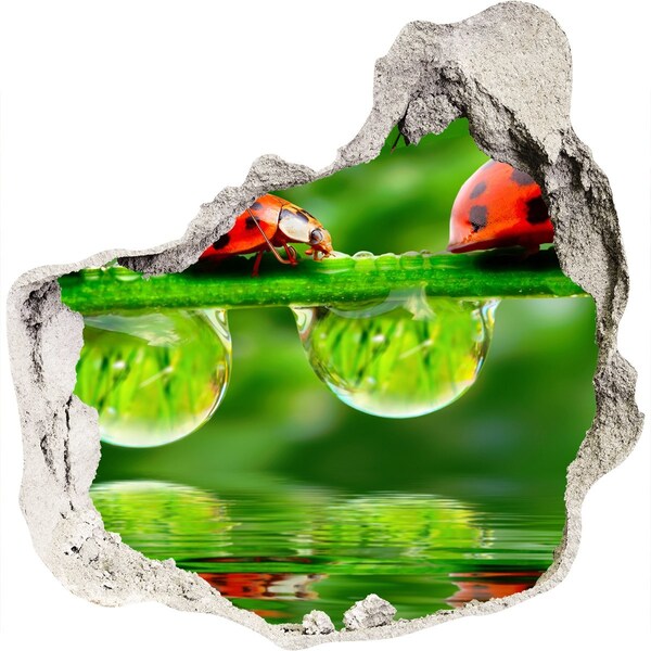 Pegatina efecto 3d pared rota decorativa Una gota de naturaleza con una mariquita