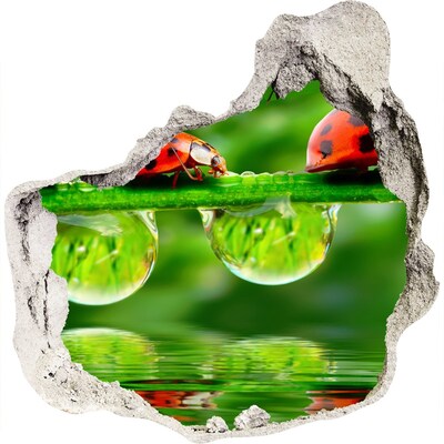 Pegatina efecto 3d pared rota decorativa Una gota de naturaleza con una mariquita